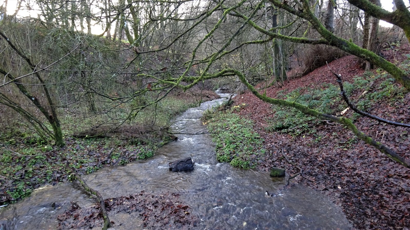 The Orry and Eaglesham Burn