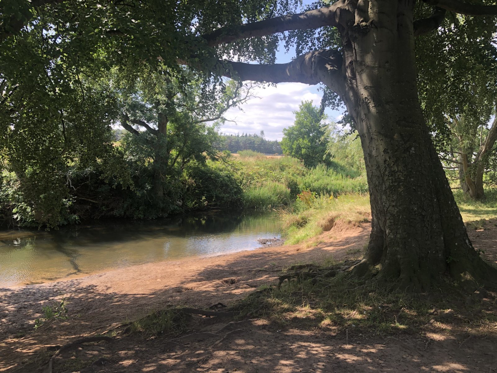 River Tyne at Haddington