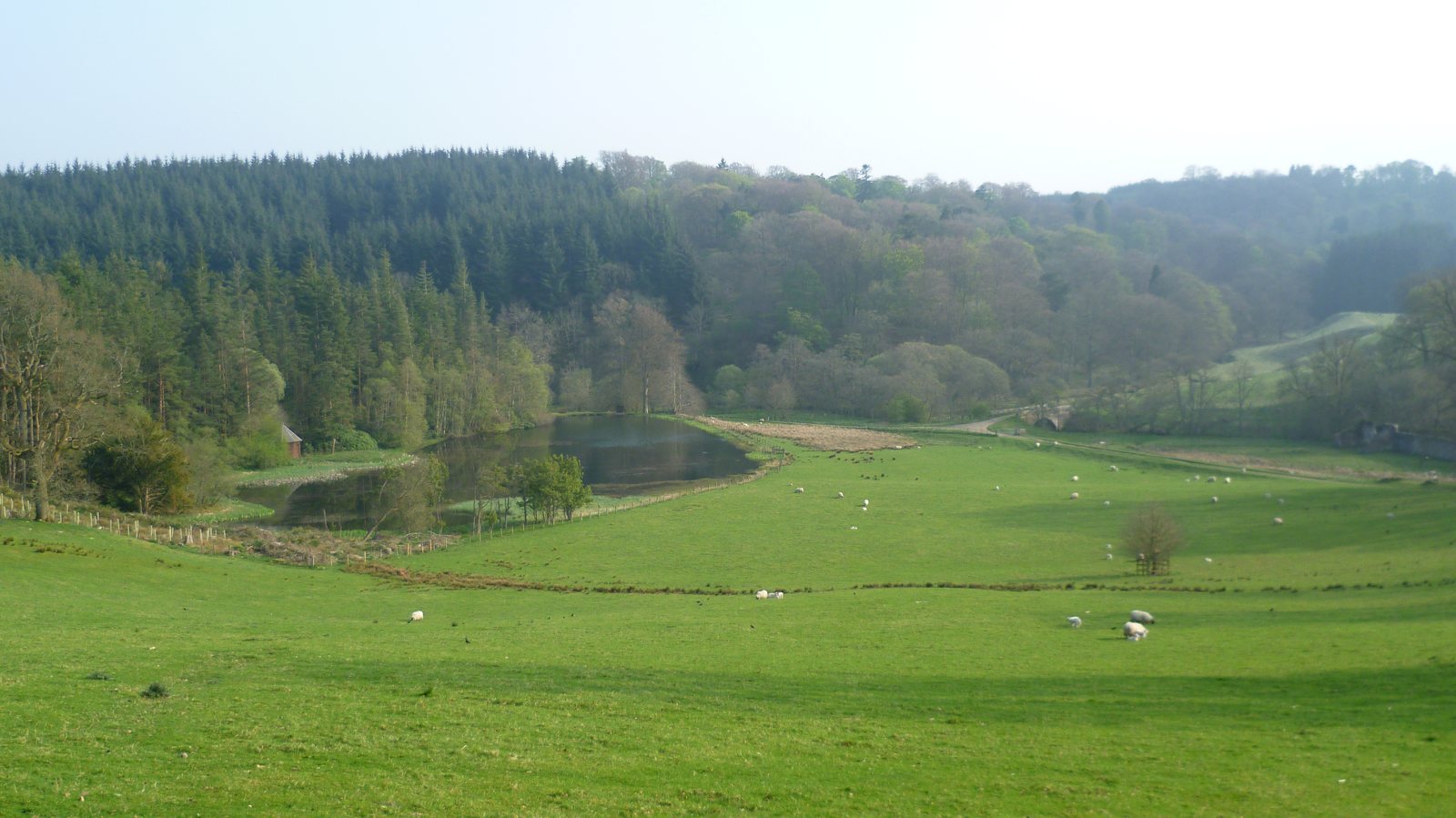 Pastoral scene on Penicuik Estate