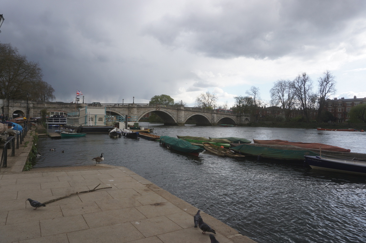 Richmond Bridge over the Thames