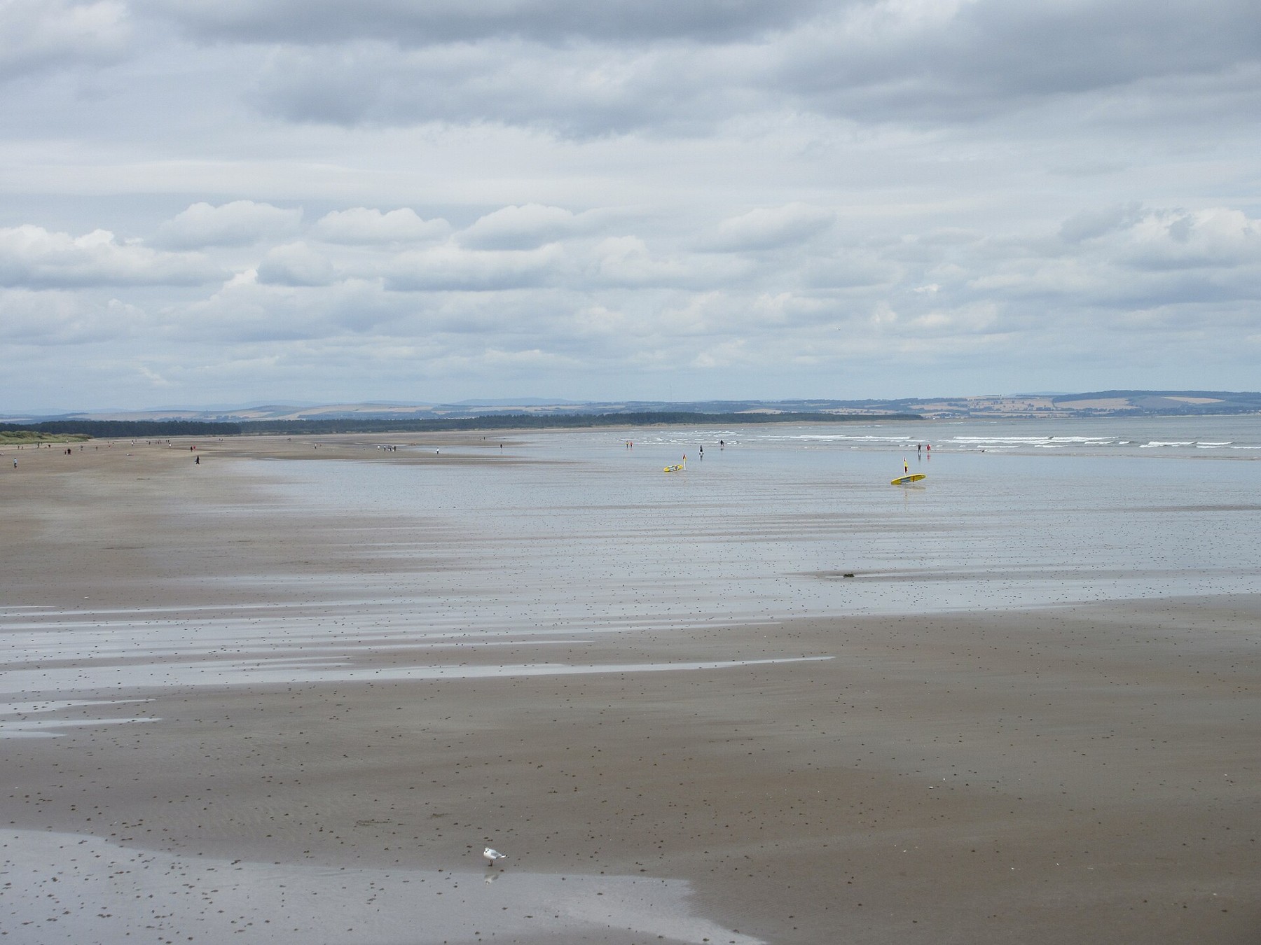 Wide sand and sea at West Sands, St Andrews