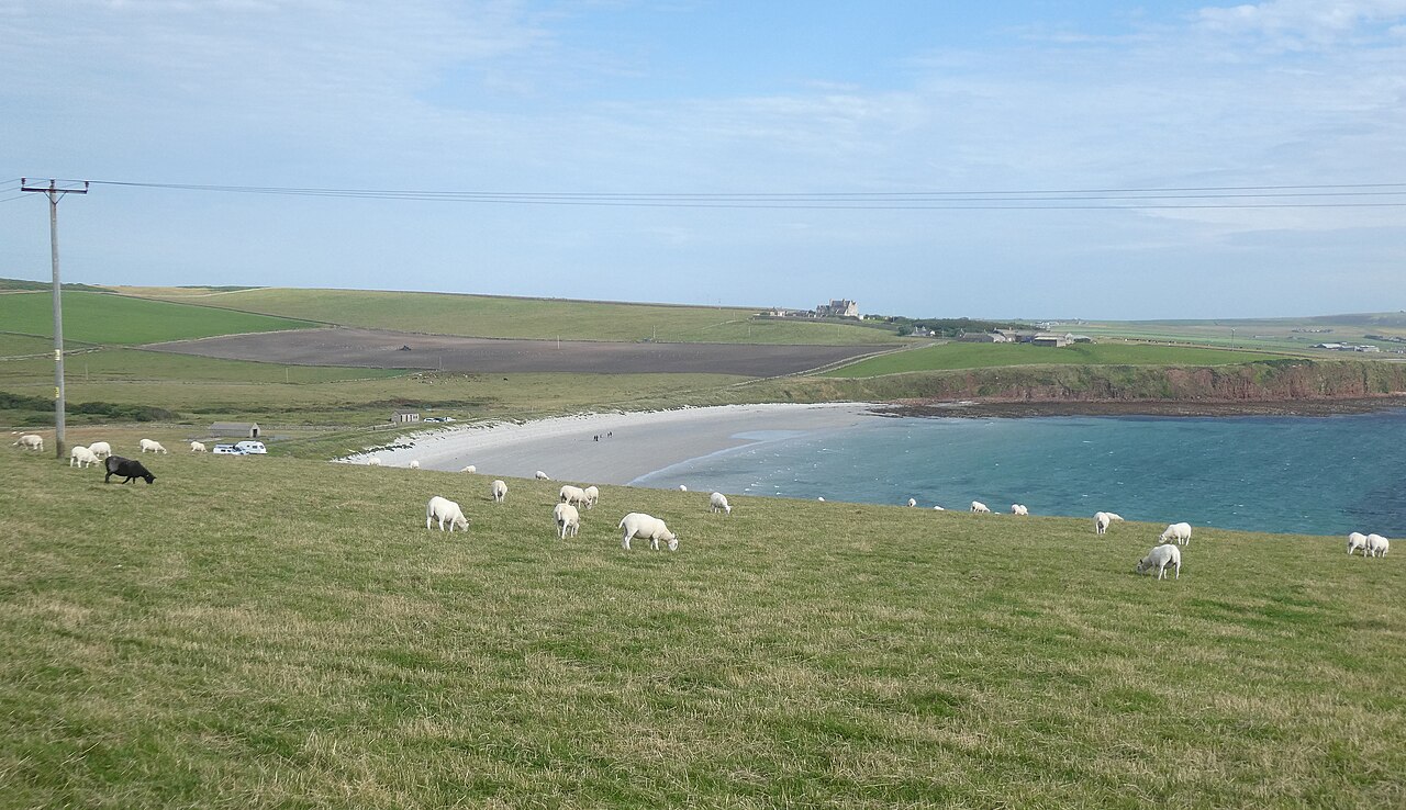Sands of Wright on South Ronaldsay, a separate shore outing from St Margaret’s Hope